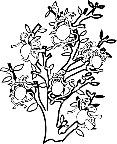 Lemon Tree  Coloring Page